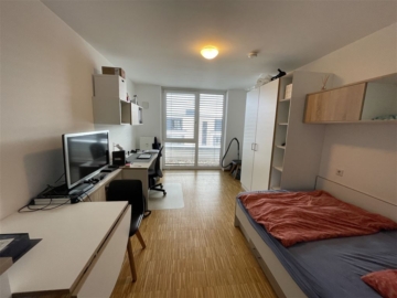 Möblier­tes 1 Zim­mer Apart­ment in zen­tra­ler Lage von&nbsp;Mainz, 55122 Mainz, Wohnung