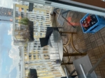 Balkon_1 - Gemüt­li­che 3‑Zim­mer-Woh­nung in moder­ner Wohnanlage